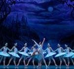 El lago de los cisnes, Russian Classical Ballet