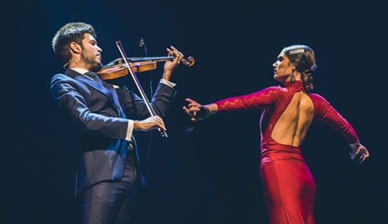 Alma del violín flamenco. Paco Montalvo
